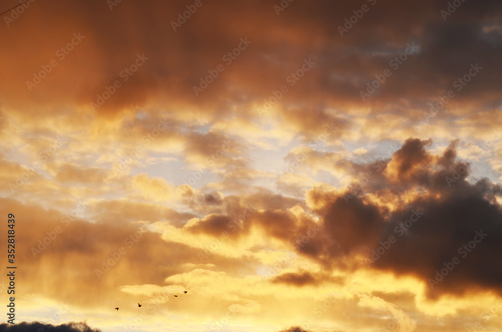 Cloudy sunset sky,photo for typography and design