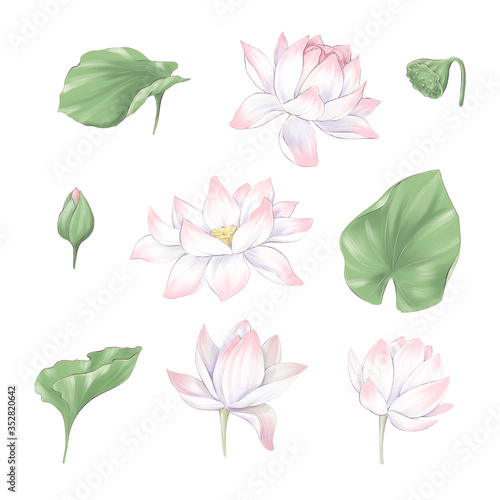 Set of digital clipart flowers and bouquets of lotus and seaweed