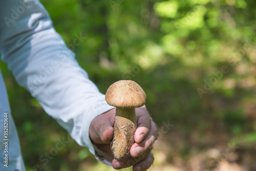 Men's hand holding one mushroom on natural background