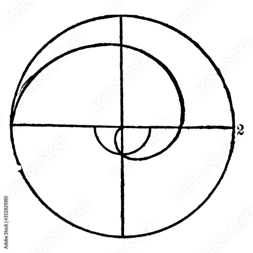 Lituus spiral, vintage illustration.