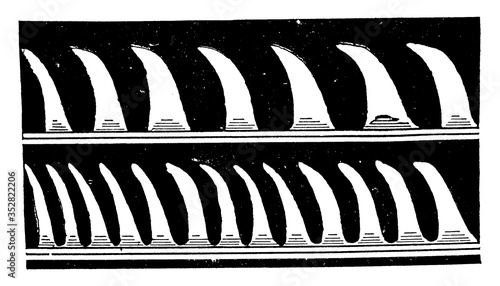 Sound Waves, vintage illustration.