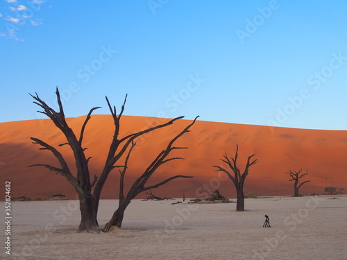 A small camera and dead camelthorn trees at sunrise in the scorched desert of Deadvlei and blue sky, Namibia © Mithrax