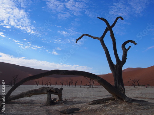 The skeleton trees in the scorched desert of Deadvlei and blue sky  Namibia