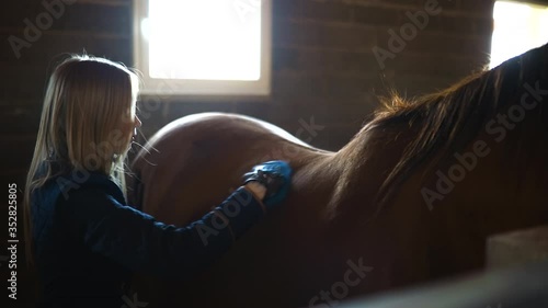 Female equestrian strokes and cleans her brown horse in stable