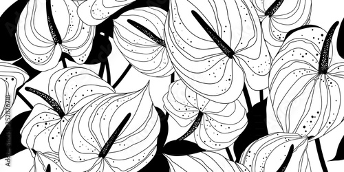 Graphic modern botanical pattern. Hand-drawn tropical flowers on a black and white background. Vector illustration.