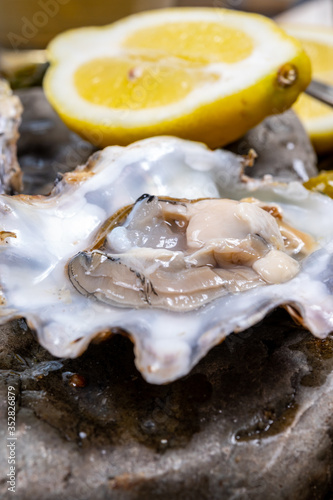 Fresh open zeeuwse creuse pacific or japanese oysters molluscs on fish market in Netherlands