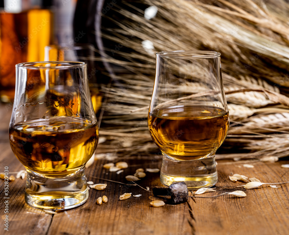 Small tasting glasses with aged Scotch whisky on old dark wooden vintage table with barley grains Small tasting glasses with aged Scotch whisky on old dark wooden vintage table with barley grains