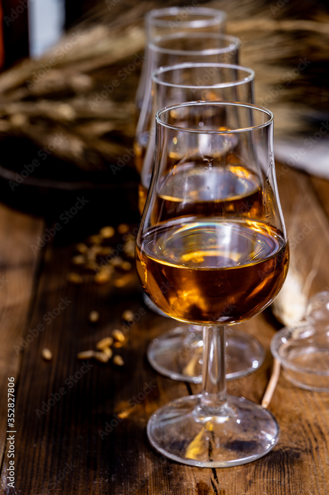 Tasting glasses with aged Scotch whisky or bourbon on old dark wooden vintage table with barley grains Tasting glasses with aged Scotch whisky or bourbon on old dark wooden vintage table with barley grains