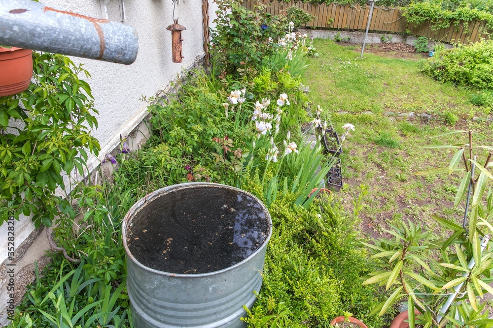 Old metal rain water barrel. watering the garden. Water saving. Water supply for dry summer. Rainwater drainage.