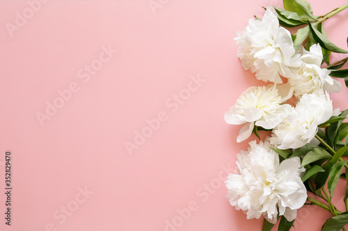 Studio shot of beautiful peony flowers over textured background with a lot of copy space for text. Feminine floral composition. Close up, top view, backdrop, flat lay. © Evrymmnt