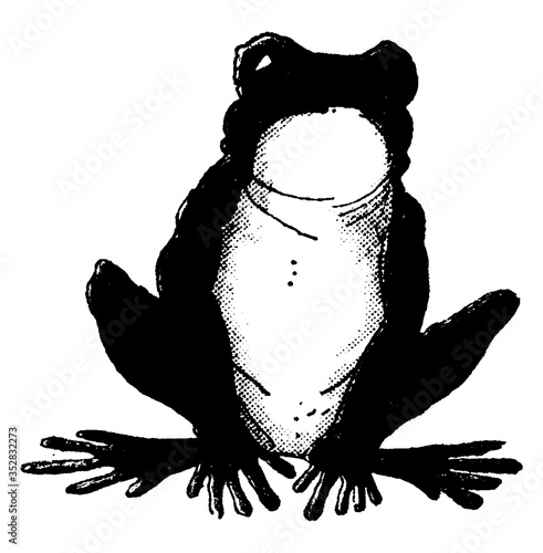 Frog, vintage illustration.