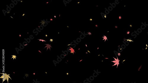 落ちていく紅葉	
