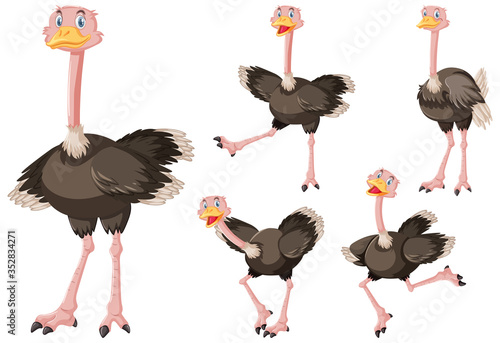 Cute ostrich cartoon character photo