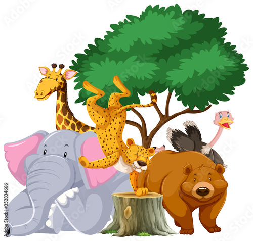 Group of animals under the tree