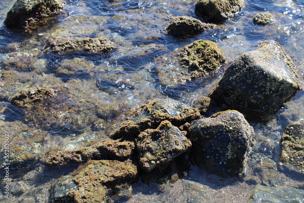 stones in the water stones in the water
