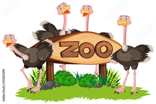 Ostrich with zoo banner photo