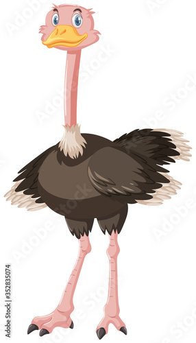 Cute ostrich cartoon character