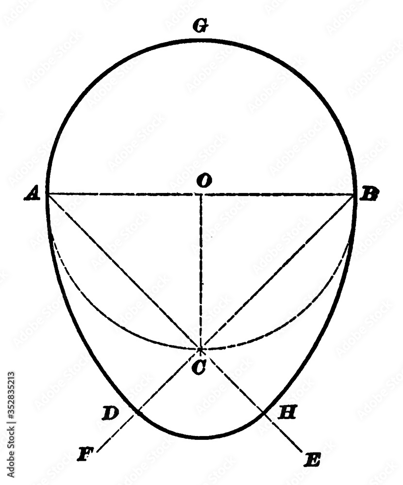 Εκτύπωση καμβά Oval, vintage illustration.