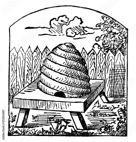 Hive, vintage illustration