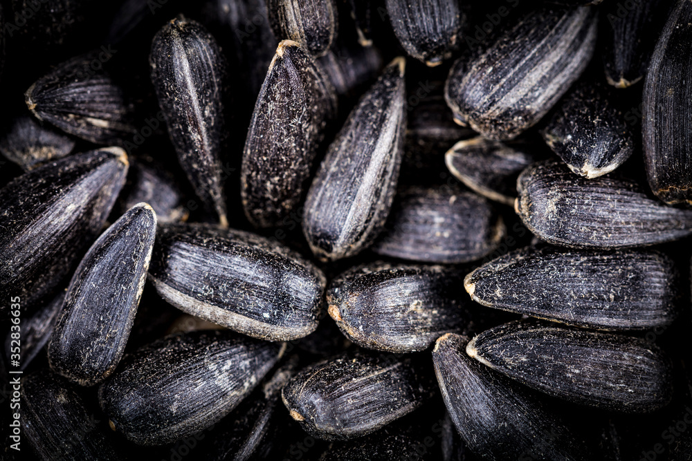 Top view of black sunflower seeds. Organic natural food background. Sunflower seeds are siutable for microgreens sprout Top view of black sunflower seeds. Organic natural food background. Sunflower seeds are siutable for microgreens sprout