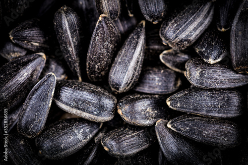Wallpaper Mural Top view of black sunflower seeds. Organic natural food background. Sunflower seeds are siutable for microgreens sprout Torontodigital.ca