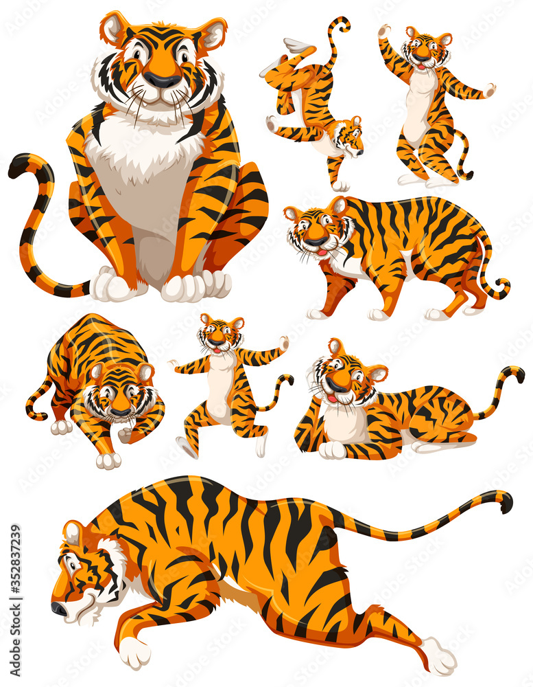 Set of tiger character