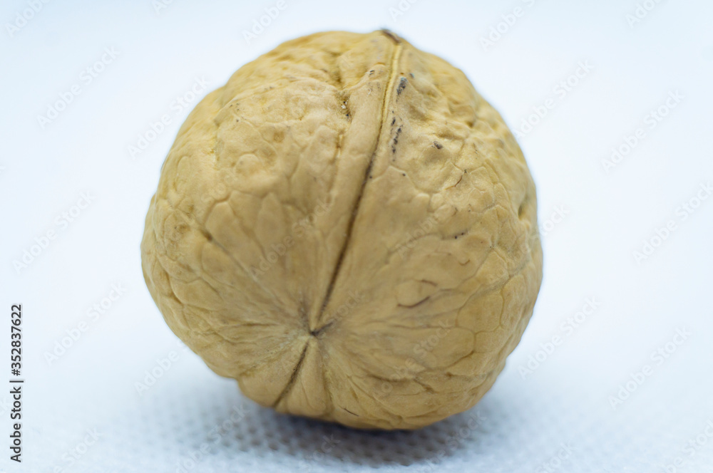 Walnut whole closeup. Macro photography Walnut whole closeup. Macro photography