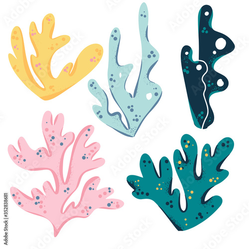 Sea plants and aquatic marine algae. Seaweed set vector illustration isolated on white background. Hand draw doodle clipart