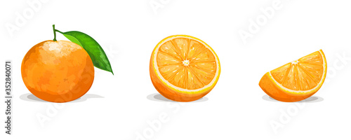 Orange with two slices isolated on white background. Vector illustration