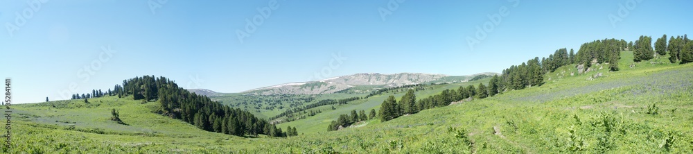 Panorama of a valley between mountains with flowers, grass, trees and rocks on the horizon