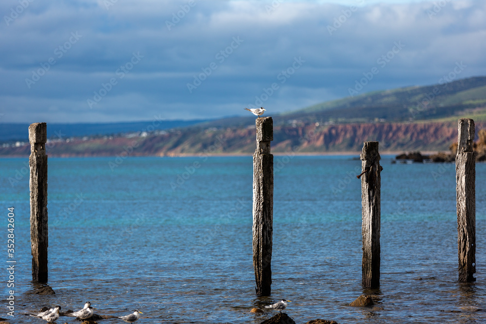 The iconic jetty ruins located on the Myponga beach on the Fleurieu Peninsula South Australia on the 24th May 2020