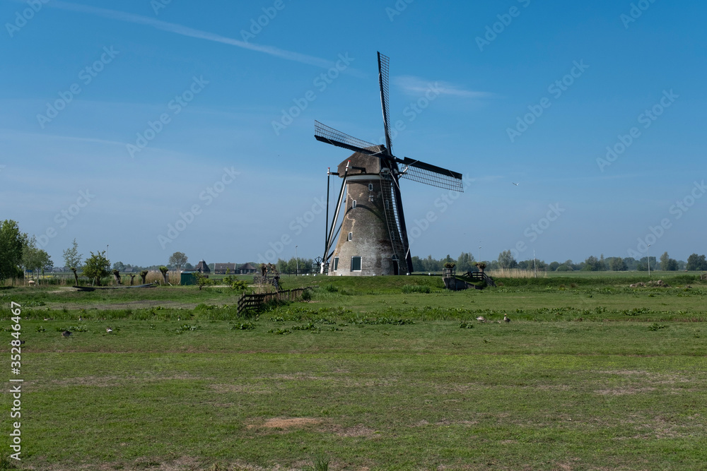 Fototapeta premium beautiful windmill landscape in the netherlands. Unesco Site.