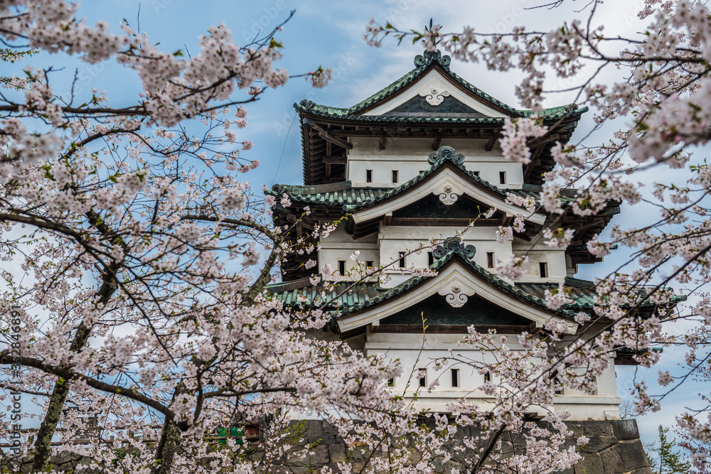 Hirosaki Castle and Cherry Blossoms, Japan Hirosaki Castle and Cherry Blossoms, Japan