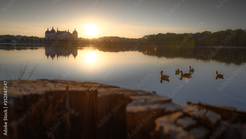 Fototapeta premium schloss moritzburg