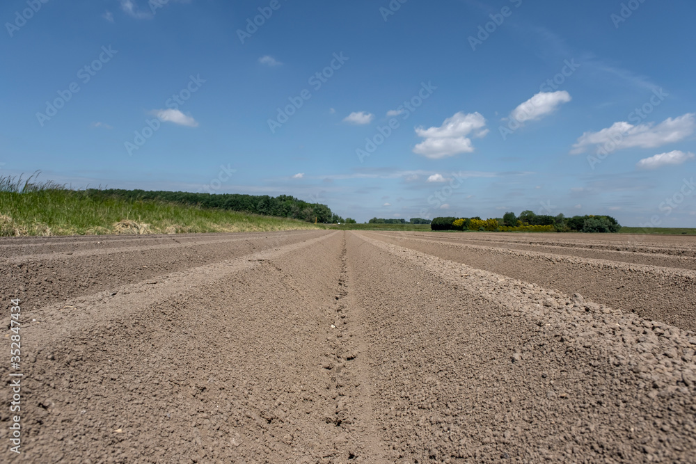 Agriculture. Pre seeding activities in early spring season of agricultural works at farmlands.