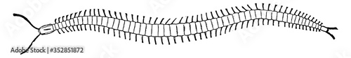 Fotografia, Obraz Centipede, vintage illustration.