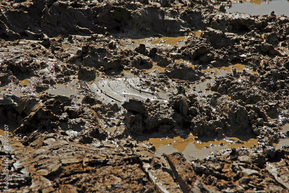 Interesting mud background. Muddy soil texture. Interesting mud background. Muddy soil texture.
