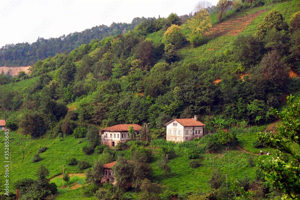 TRABZON, TURKEY - JUNE 28, 2008: Yeniay Village, Tea plantations, Historical buildings, Traditional architecture. Surmene District