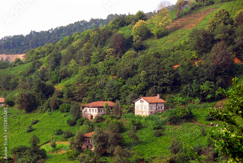 TRABZON, TURKEY - JUNE 28, 2008: Yeniay Village, Tea plantations, Historical buildings, Traditional architecture. Surmene District photo