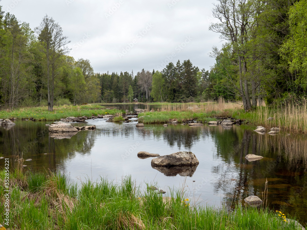 Obraz premium Scenic view of a river in spring. Farnebofjarden national park in Sweden.