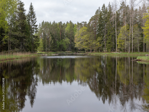 Scenic view of a river in spring. Farnebofjarden national park in Sweden.