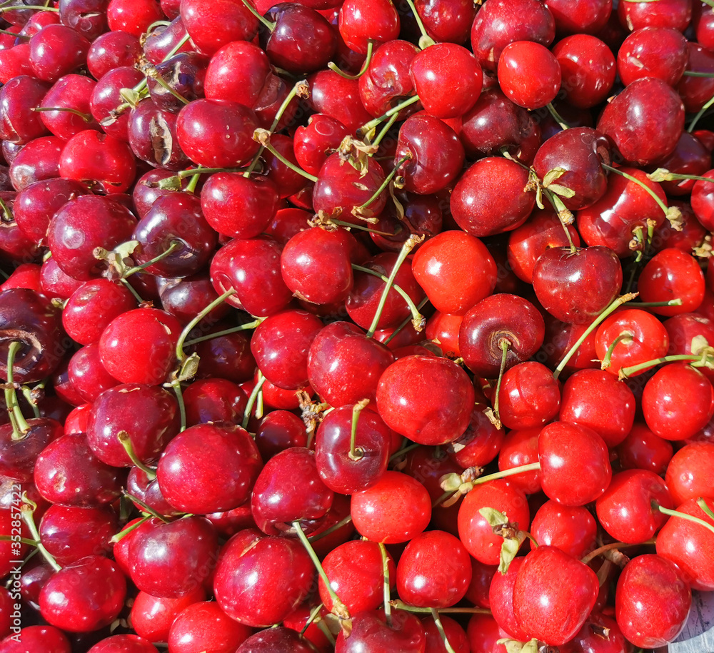 Ripe cherries on the market for sale, seasonal fruits and berries Ripe cherries on the market for sale, seasonal fruits and berries