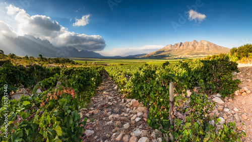 Panoramic View of the Slanghoek Valley near the town of Worcester in the Breede Valley in the Western Cape of South Africa