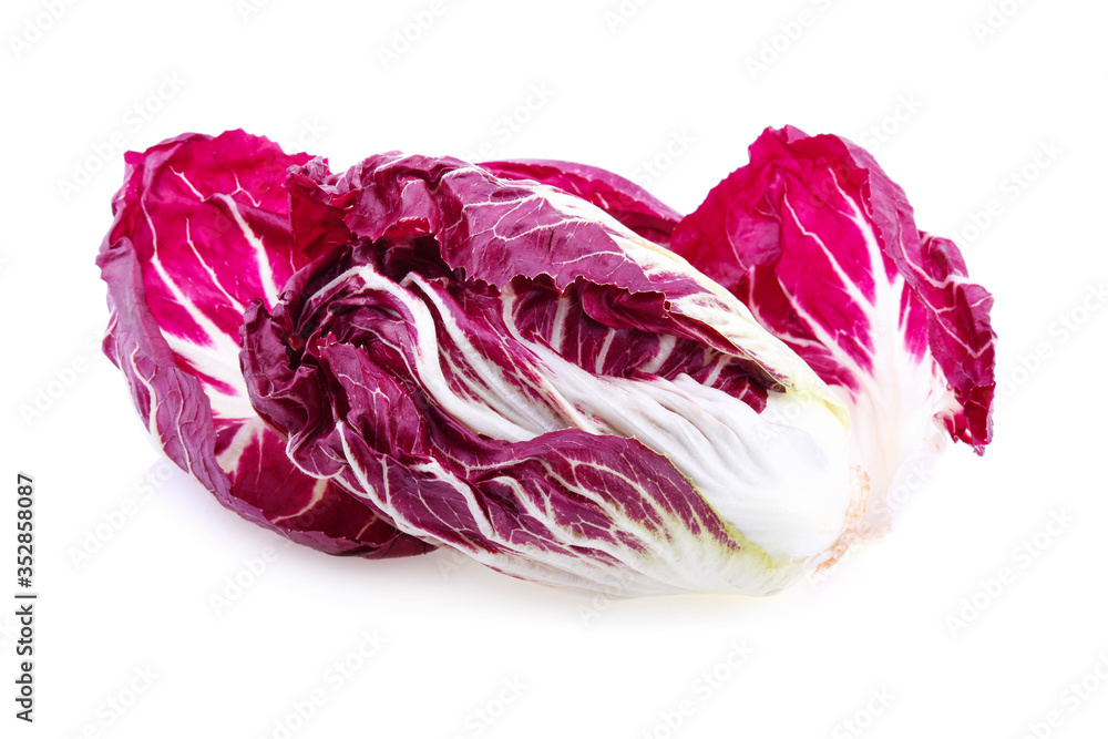 Radicchio isolated on white background Radicchio isolated on white background