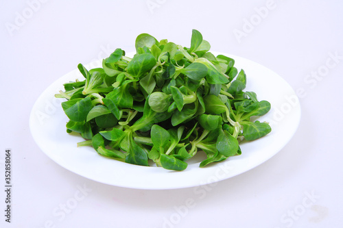 fresh lamb s lettuce