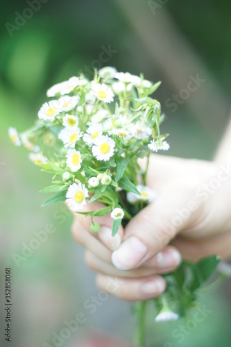 bouquet of flowers