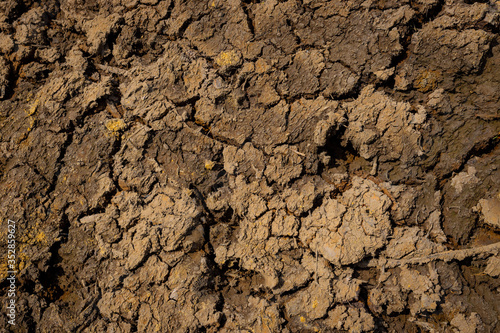 Drought, the ground cracks, no water, lack of moisture. Dried and Cracked ground,Cracked surface,Dry soil in arid areas. texture background