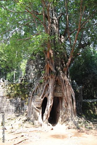 Temple Ta Som    Angkor  Cambodge 