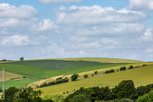 Looking out over fields in the South Downs on a sunny late spring day