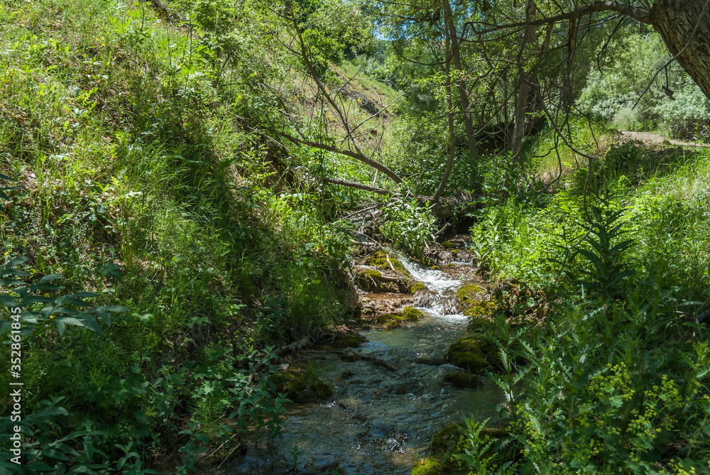 Gumushane, Turkey - 11 July, 2017: Little Stream, Kelkit Butterfly Valley, National Nature Park Gumushane, Turkey - 11 July, 2017: Little Stream, Kelkit Butterfly Valley, National Nature Park